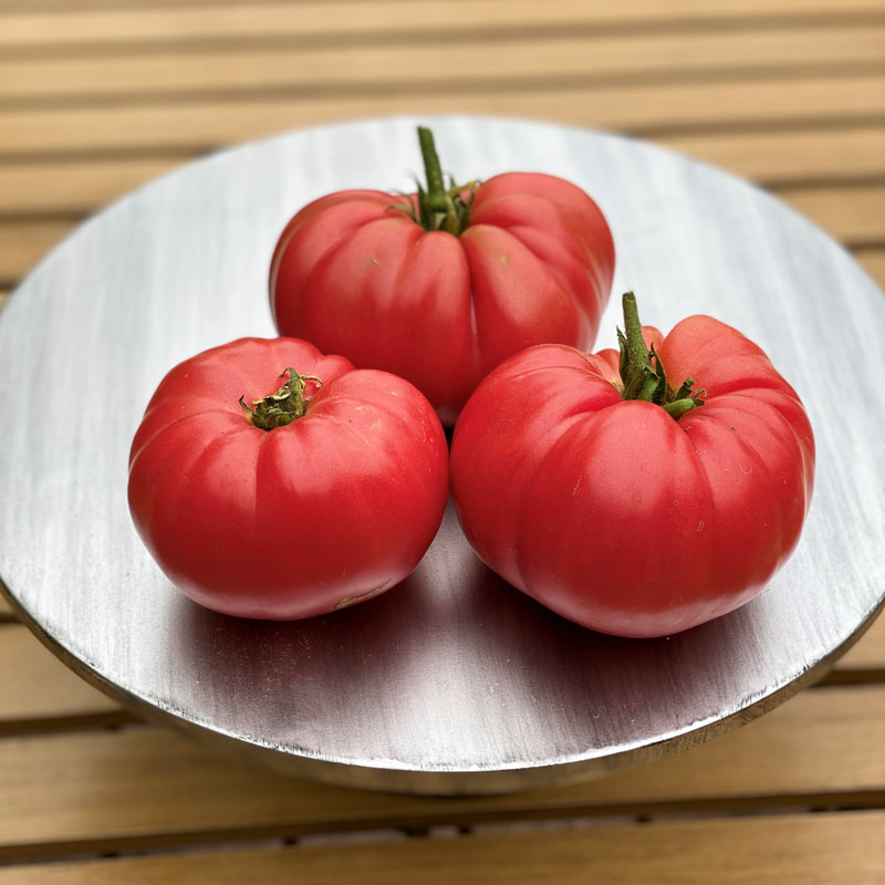 Mrs. Maxwell's Big Italian Tomato